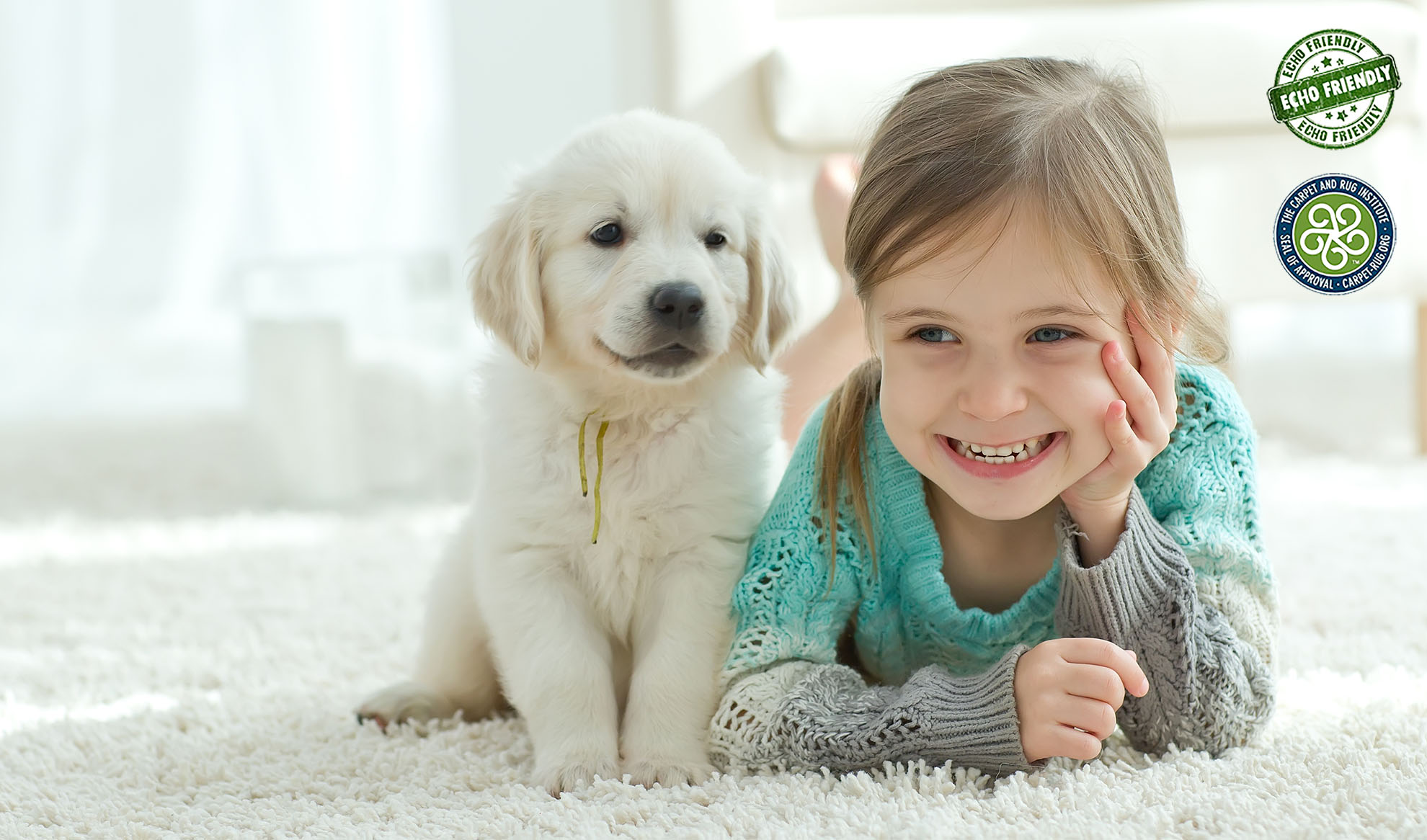 Steam Cleaning emcservicesnet Steam Carpet Cleaning